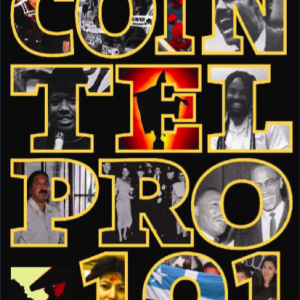 he government’s wars and repression against progressive movements. COINTELPRO represents the state’s strategy to prevent movements and communities from overturning white supremacy and creating racial justice. 